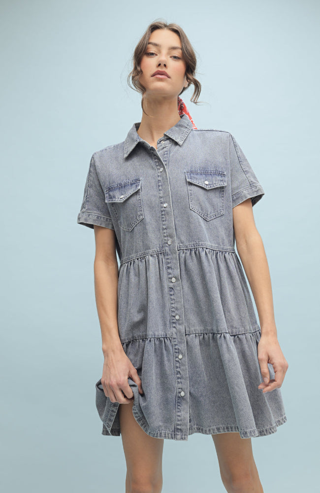 Agatha Denim Dress
