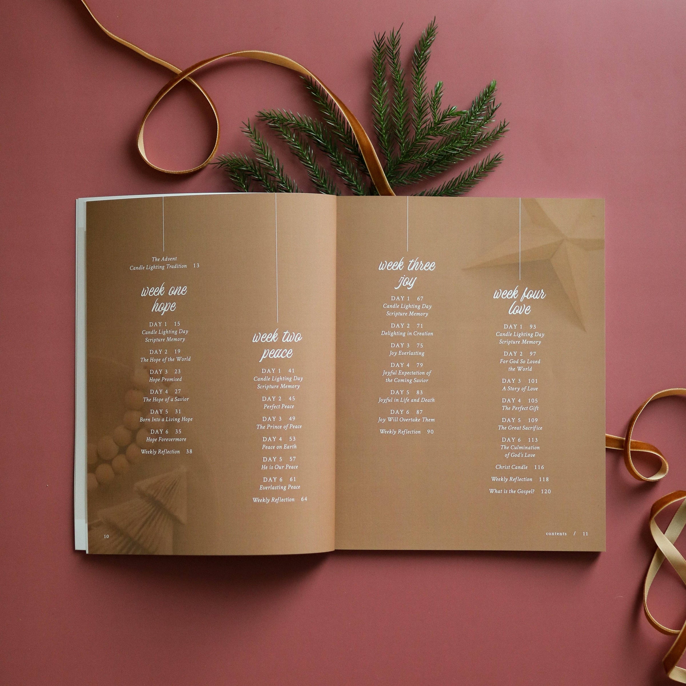 Hope Has Come | Advent Study