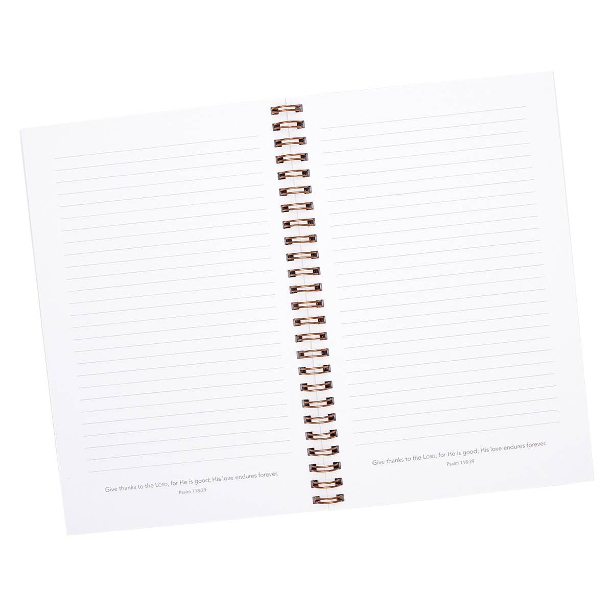 All Things Through Christ - Journal