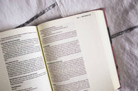 NIV Artisan Bible - Blush Floral