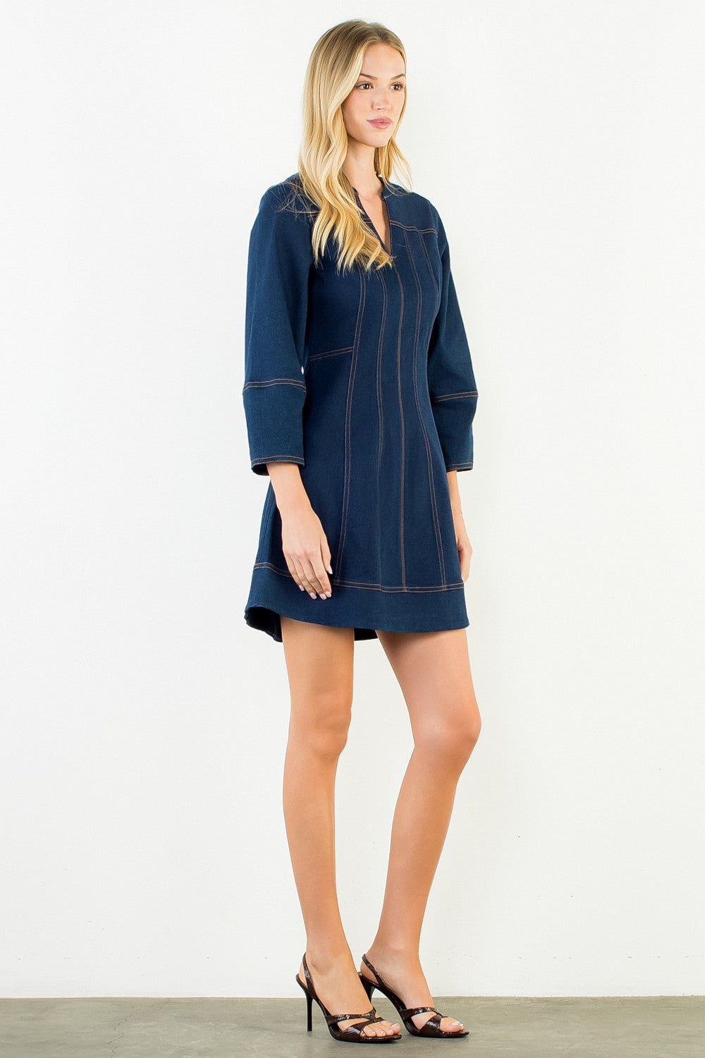 Eloise V-Neck Denim Dress