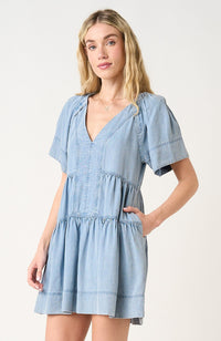 Rosalind Denim Dress