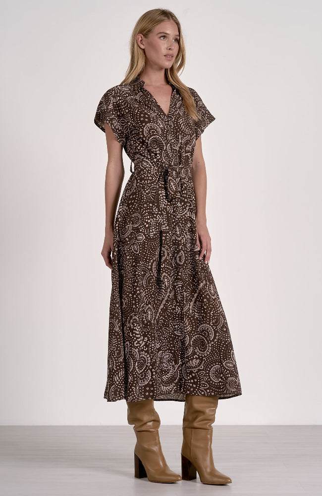 Talia Paisley Dress