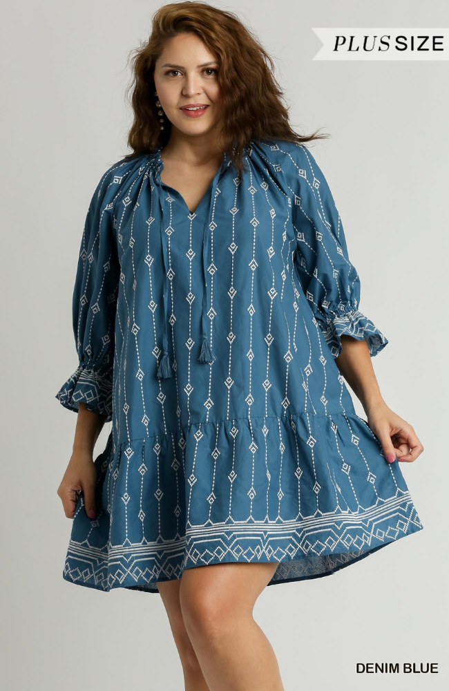 Dara Denim Embroidered Dress