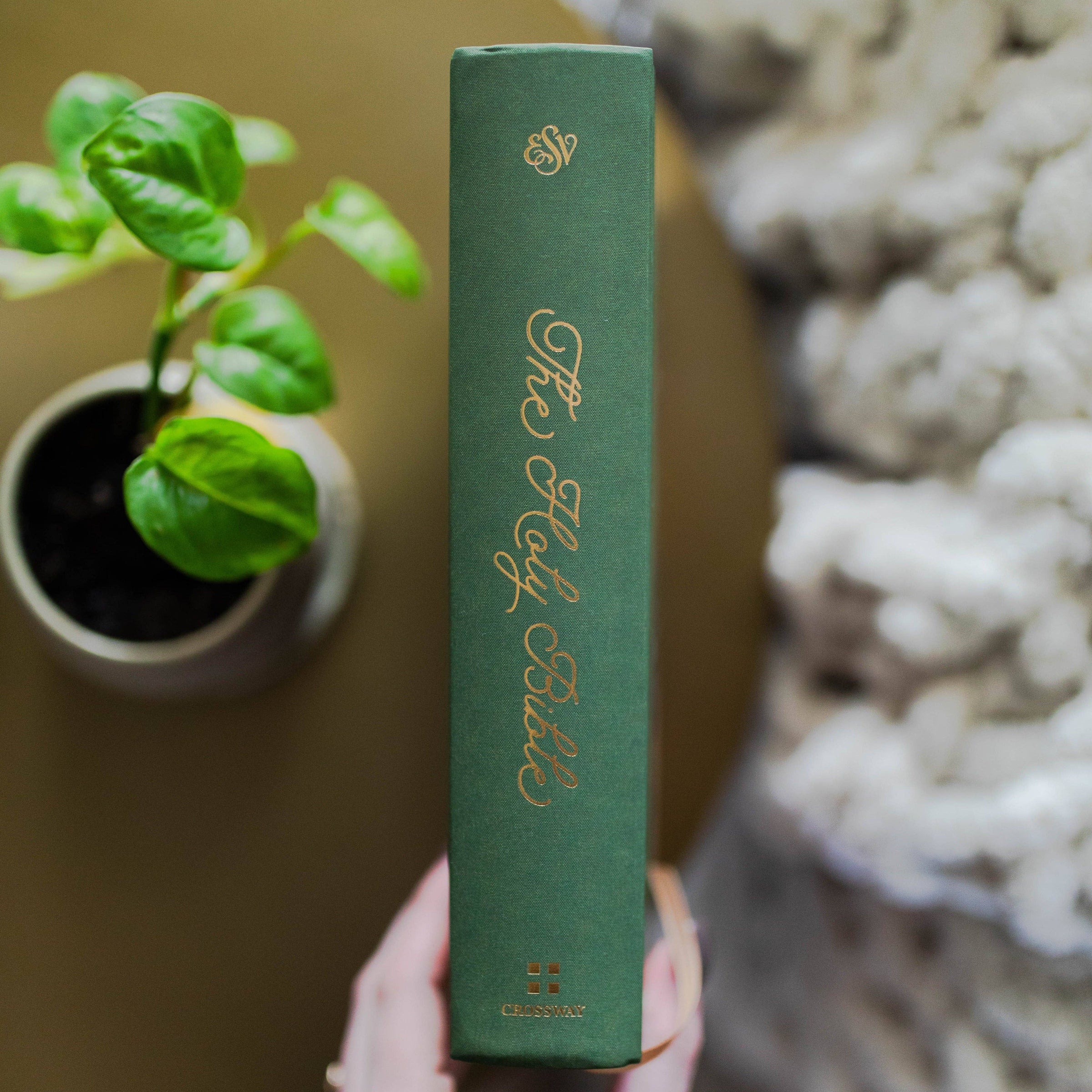 ESV Bible - Stained Glass Blooms