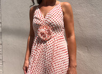 Shanina Rose Pleated Dress