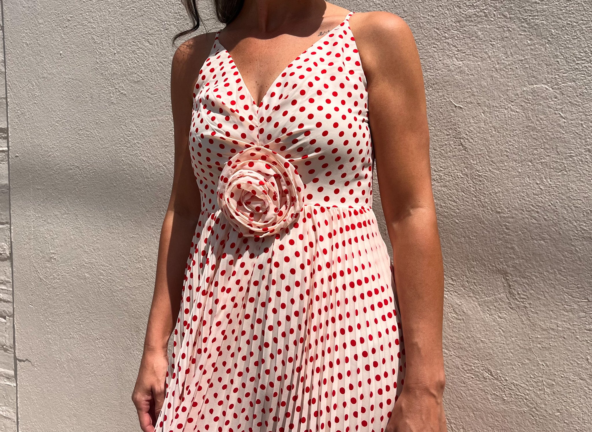 Shanina Rose Pleated Dress