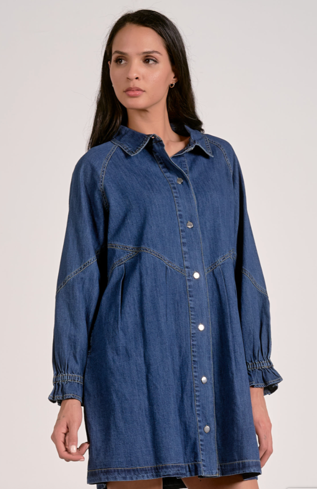 Sloane Denim Dress