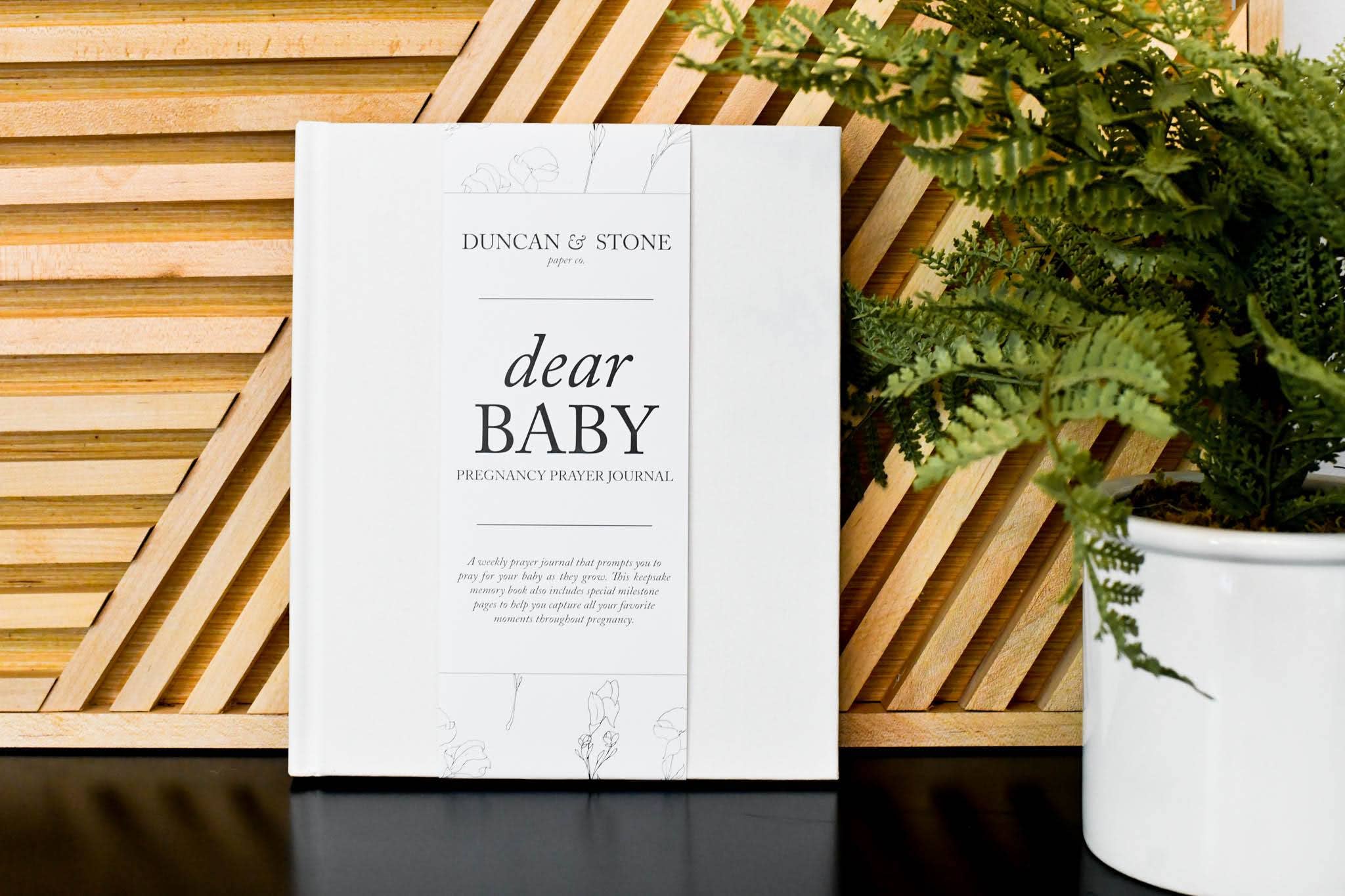 Dear Baby: Pregnancy & Memories