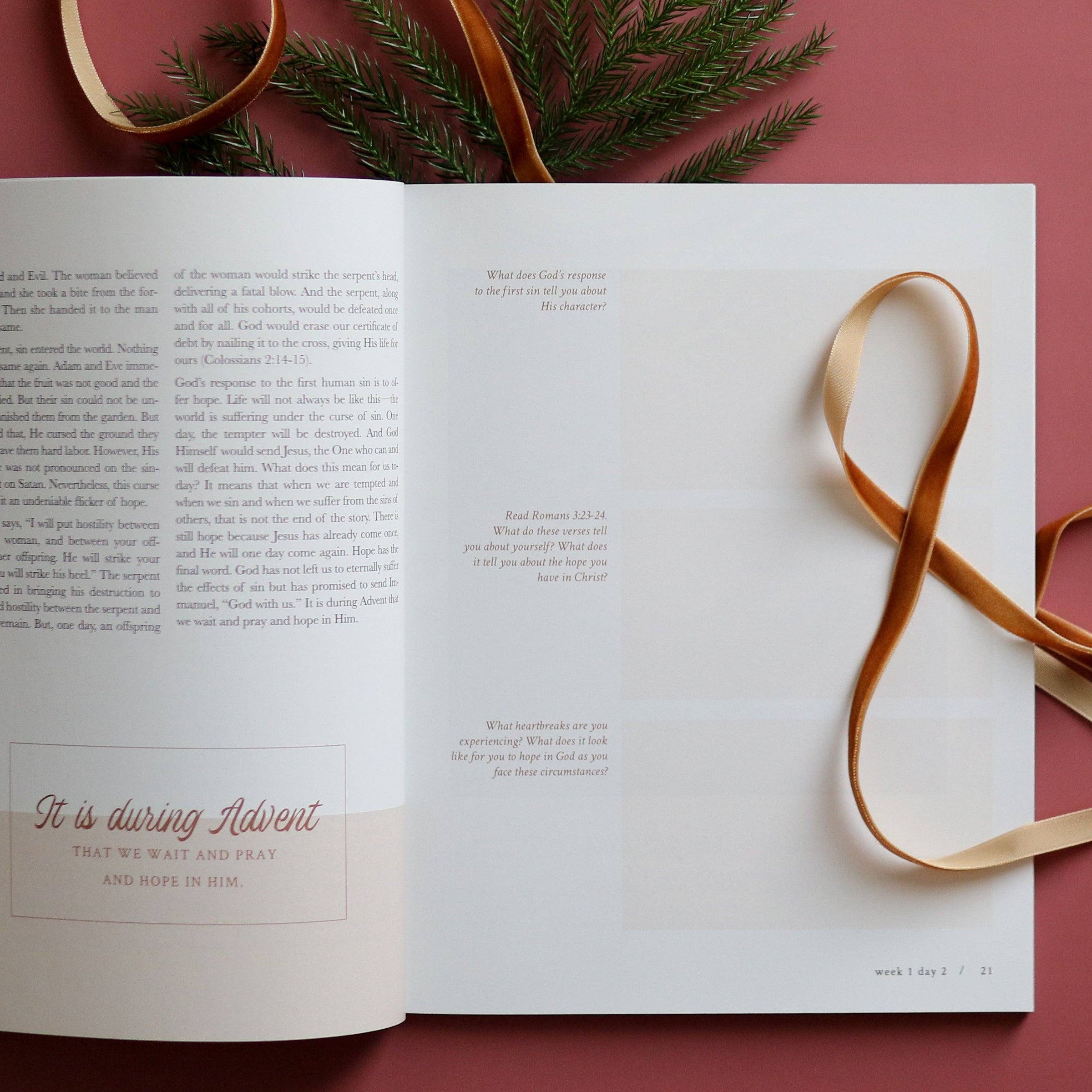 Hope Has Come | Advent Study