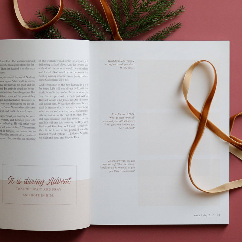 Hope Has Come | Advent Study