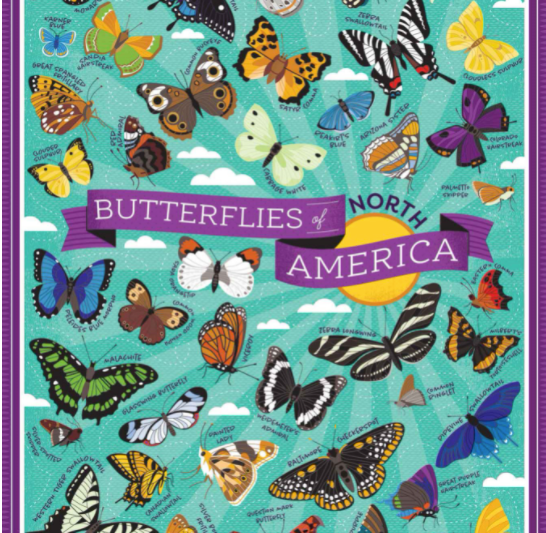 Butterflies of North America Puzzle