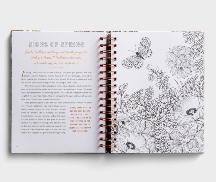Set Your Mind on Things Above: A Devotional Coloring Book