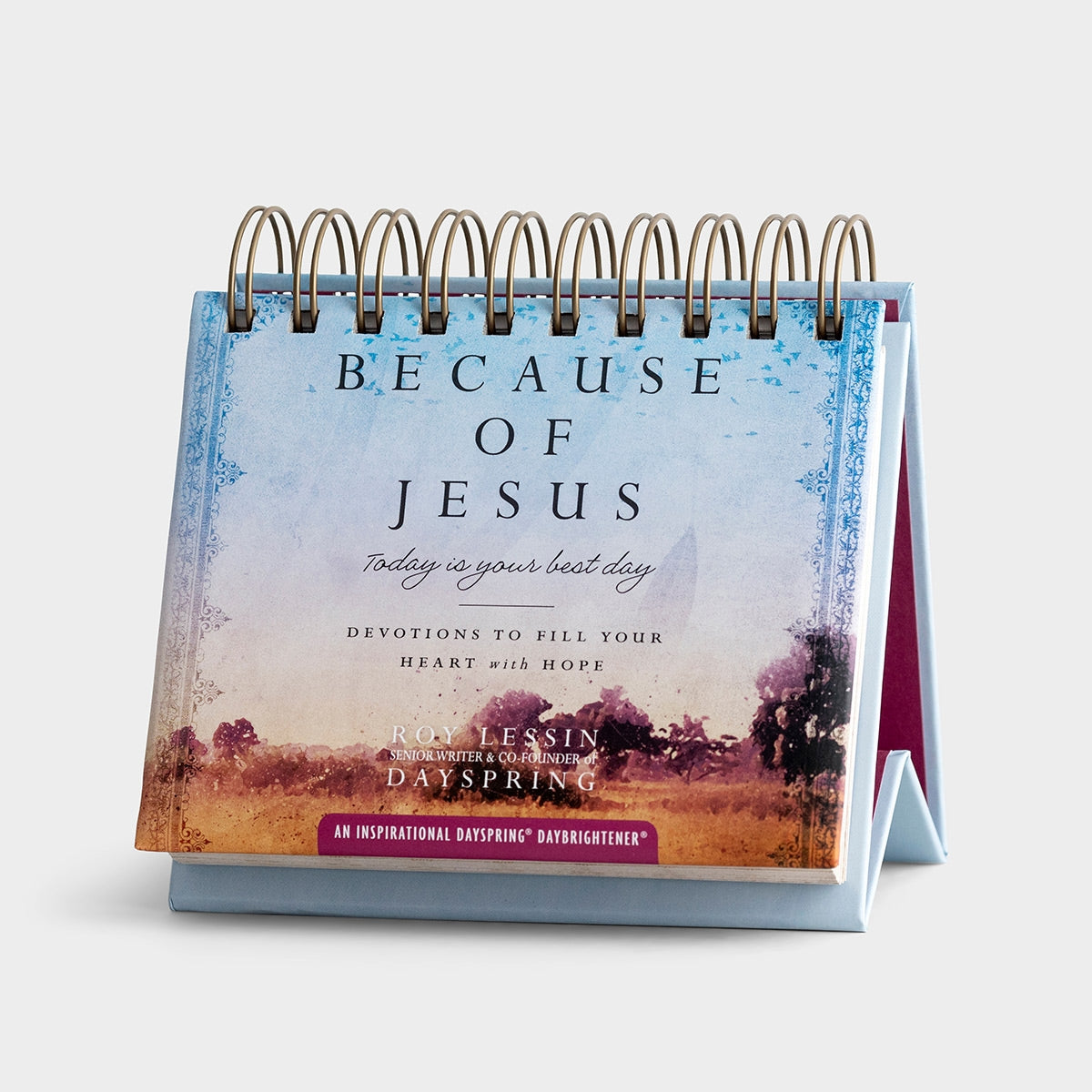 Because of Jesus - DayBrightener